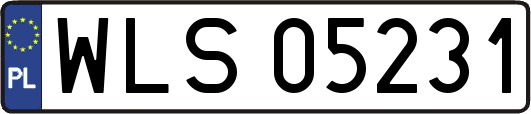 WLS05231