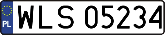 WLS05234