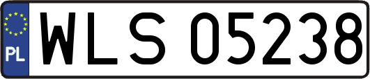 WLS05238