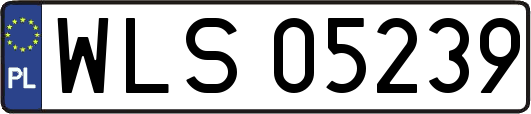 WLS05239