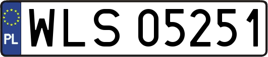 WLS05251