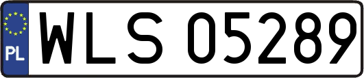 WLS05289