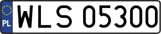 WLS05300