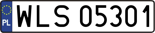 WLS05301