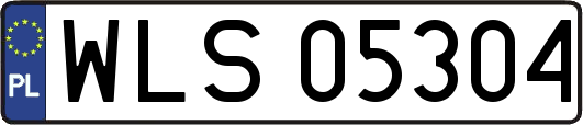 WLS05304