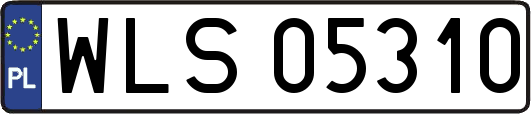 WLS05310