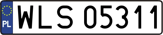 WLS05311