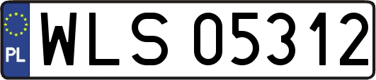 WLS05312