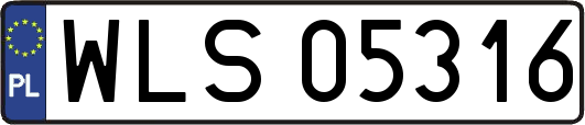 WLS05316