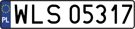 WLS05317