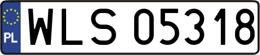 WLS05318