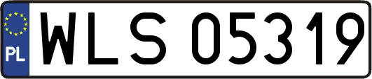 WLS05319
