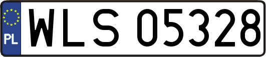WLS05328
