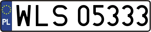 WLS05333