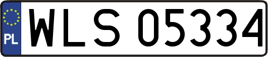 WLS05334