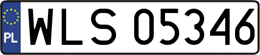 WLS05346