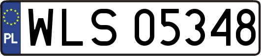 WLS05348