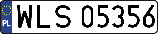 WLS05356