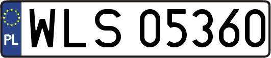 WLS05360