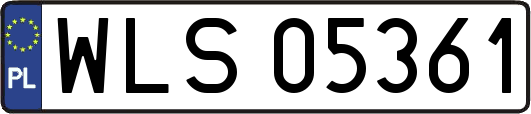 WLS05361