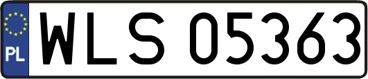 WLS05363