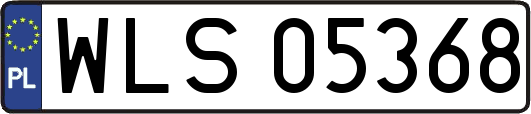 WLS05368