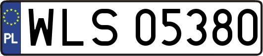 WLS05380