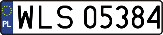 WLS05384