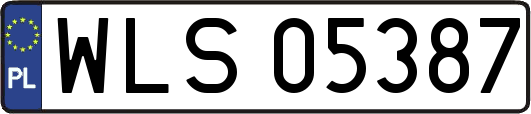WLS05387