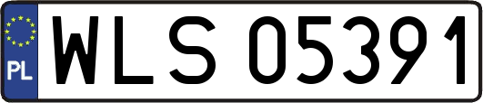 WLS05391