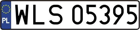 WLS05395
