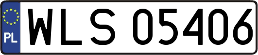WLS05406