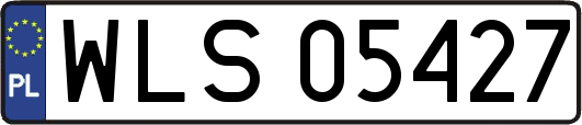 WLS05427