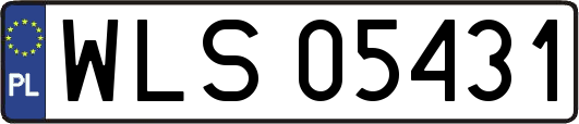 WLS05431