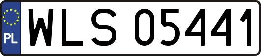 WLS05441