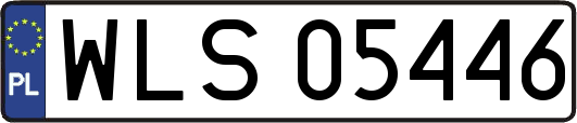 WLS05446