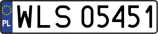 WLS05451