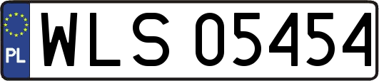 WLS05454