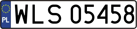 WLS05458