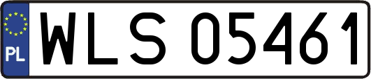 WLS05461