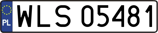 WLS05481
