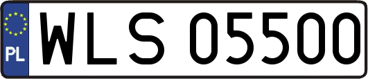 WLS05500
