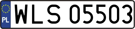 WLS05503