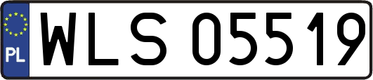WLS05519