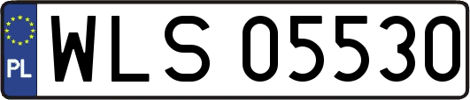 WLS05530