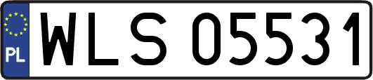WLS05531