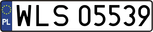 WLS05539