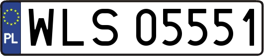 WLS05551