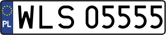 WLS05555