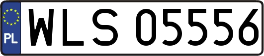 WLS05556